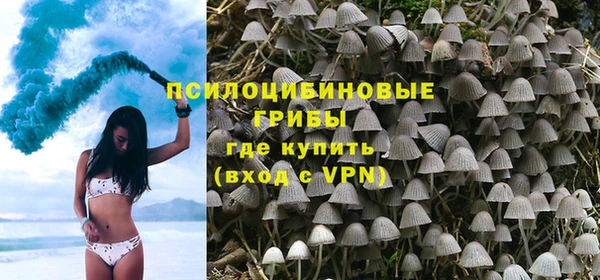 спайс Бородино