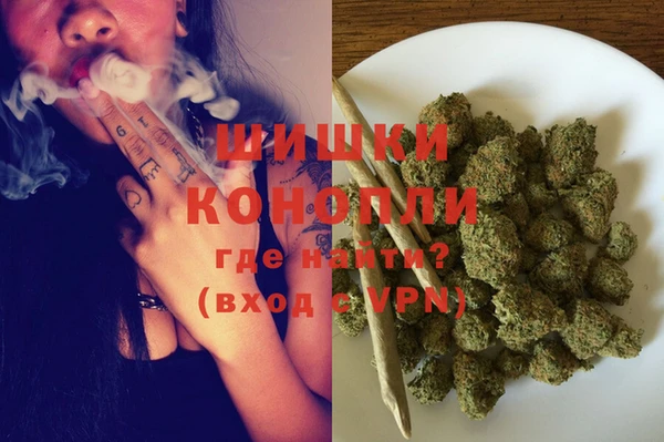 прущие грибы Мурманск