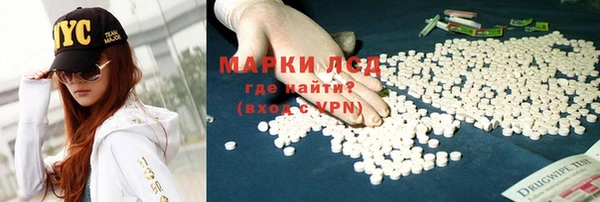 спайс Бородино