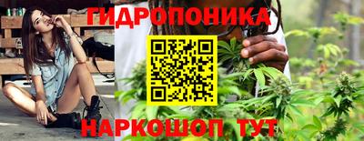 spice Аргун
