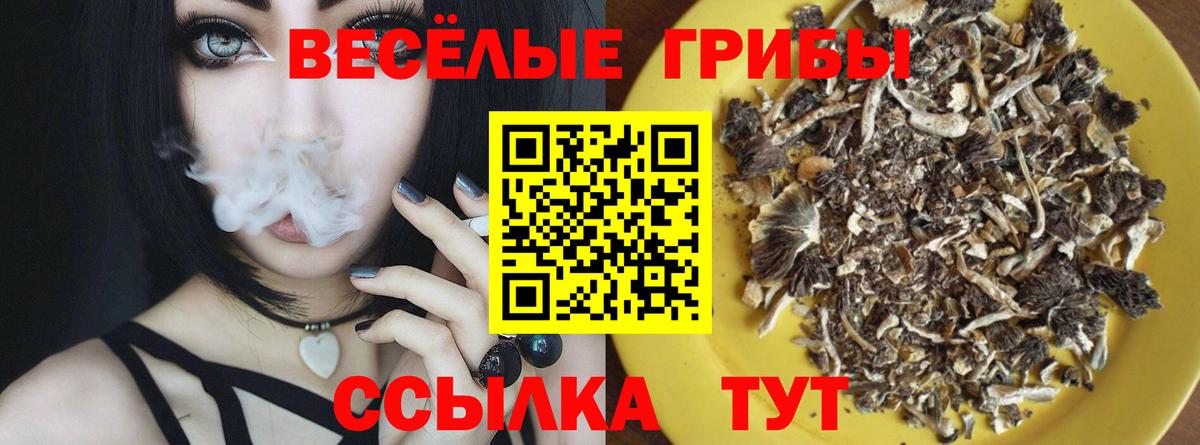 Псилоцибиновые грибы Psilocybe Великий Устюг